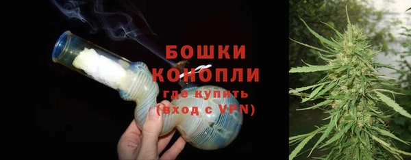 сатива Осинники