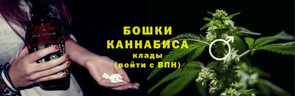 сатива Осинники