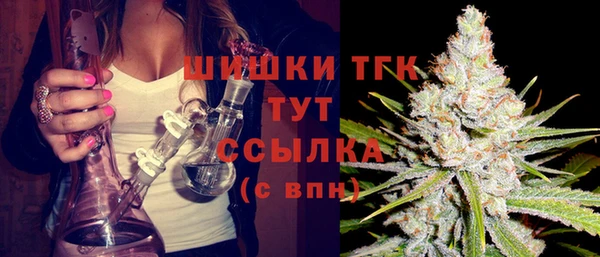 сатива Осинники