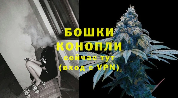 сатива Осинники