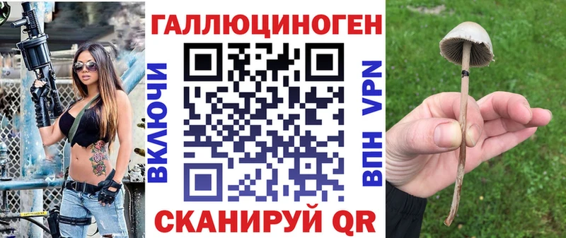 darknet какой сайт  Калач-на-Дону  Галлюциногенные грибы мицелий  где можно купить  