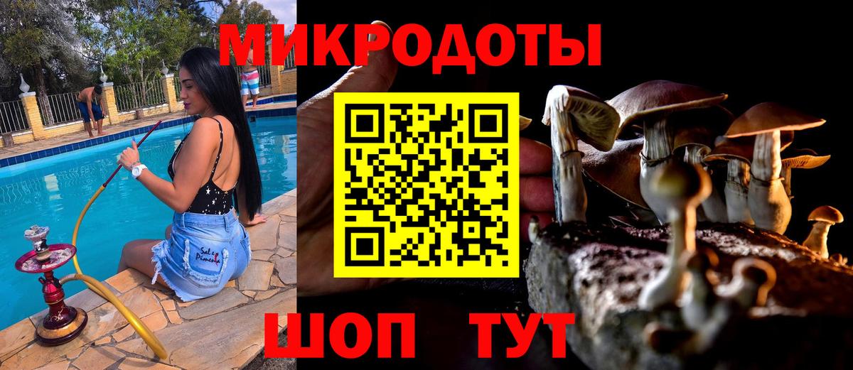 Псилоцибиновые грибы Psilocybine cubensis Калач-на-Дону