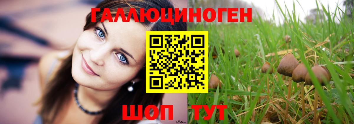 Псилоцибиновые грибы Magic Shrooms  Вход с VPN  купить наркоту  Калач-на-Дону 
