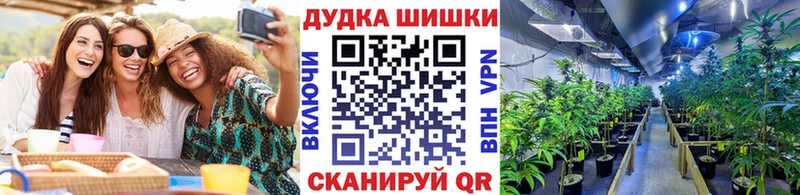 купить наркотики цена  Калач-на-Дону  Марихуана сатива 